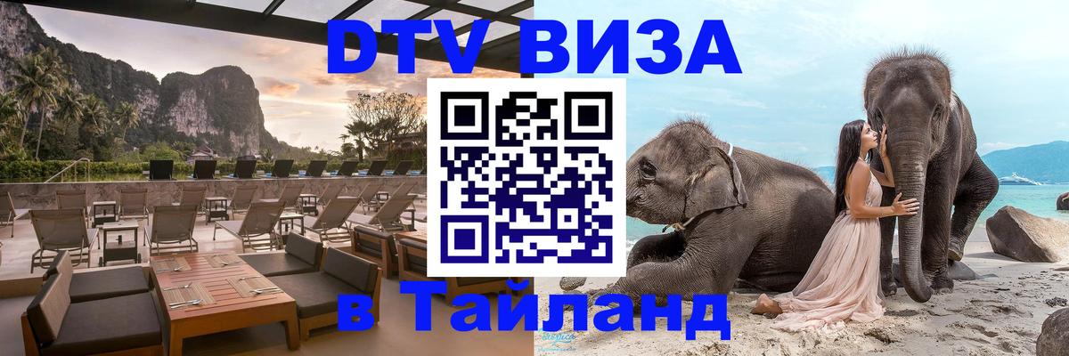 Сколько стоит DTV виза — актуальные цены, оформление даже без документов - Благовещенск  20.11.2025 